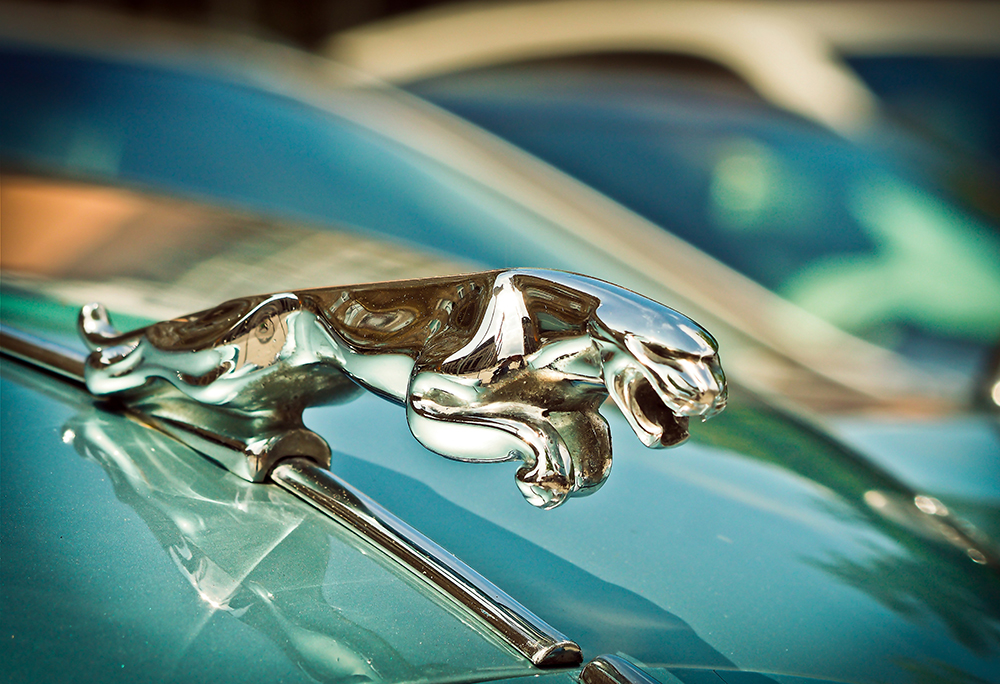 jaguar hood ornament replacement